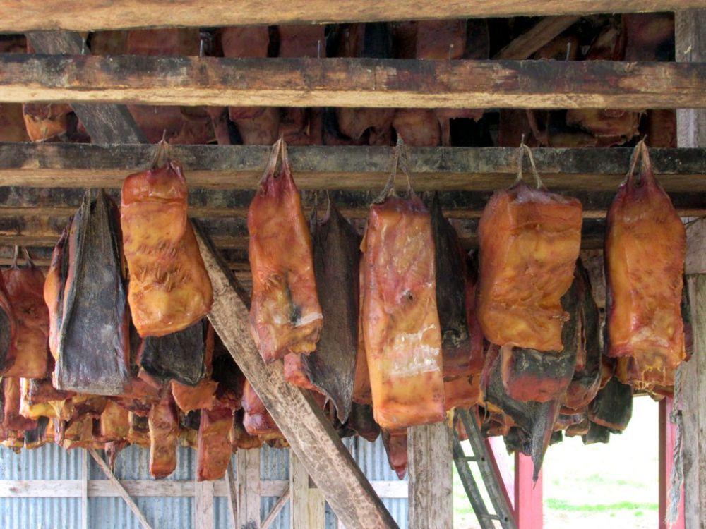 ilustrasi hakarl, daging hiu fermentasi khas Islandia (commons.wikimedia.org/David Stanley)