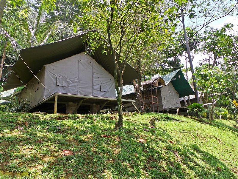 7 Tempat Camping di Bogor untuk Refreshing Bareng Keluarga