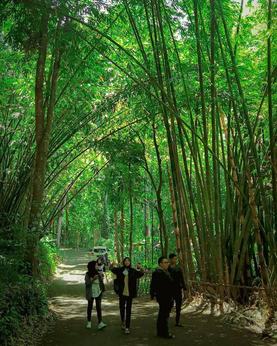 Wisata Boon Pring, Malang (instagram.com/designinbang)