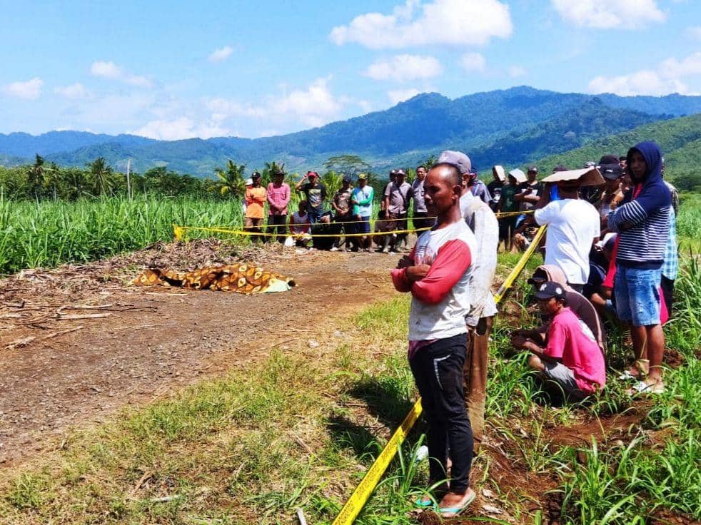 Dua Pekerja Perkebunan di Banyuwangi Dibacok, Satu Tewas