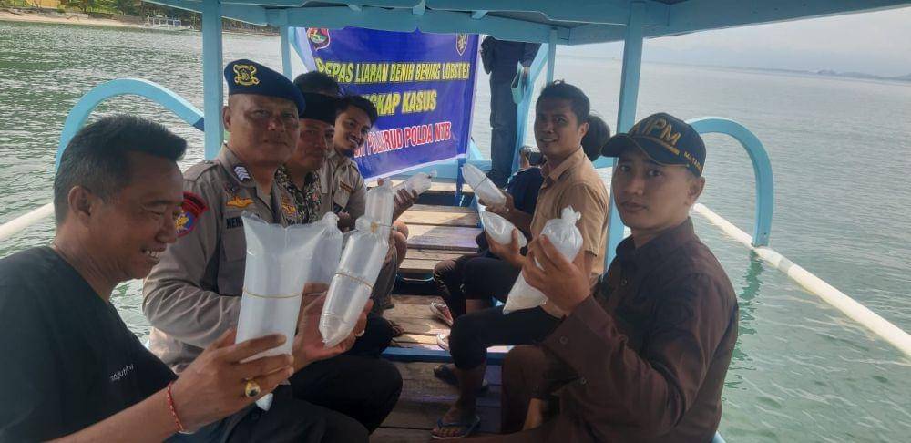 Polisi melepasliarkan ribuan benih lobster yang akan diselundupkan ke Bali di Pelabuhan Lembar. (dok. Polda NTB)