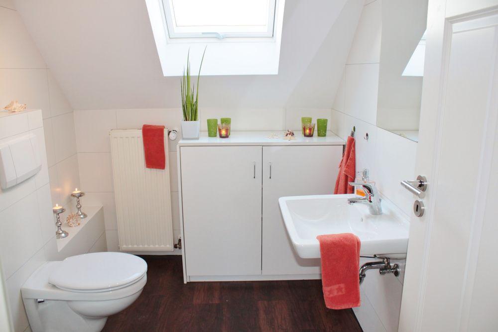ilustrasi desain kamar mandi minimalis dengan atap skylight (pixabay.com/cocoparisienne)
