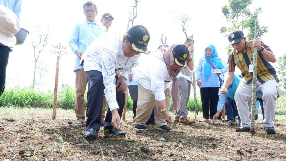 Penanaman bibit kedelai di Gunungkidul.(Dok.Istimewa)