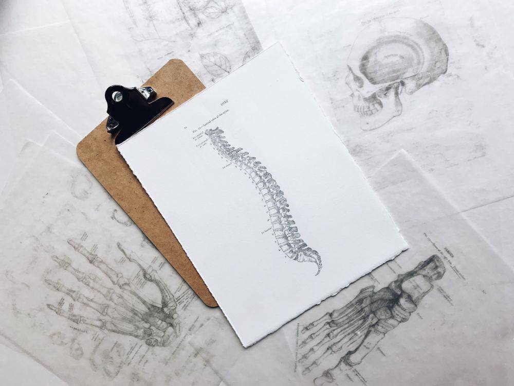 ilustrasi tulang belakang (unsplash.com/ Joyce McCown)