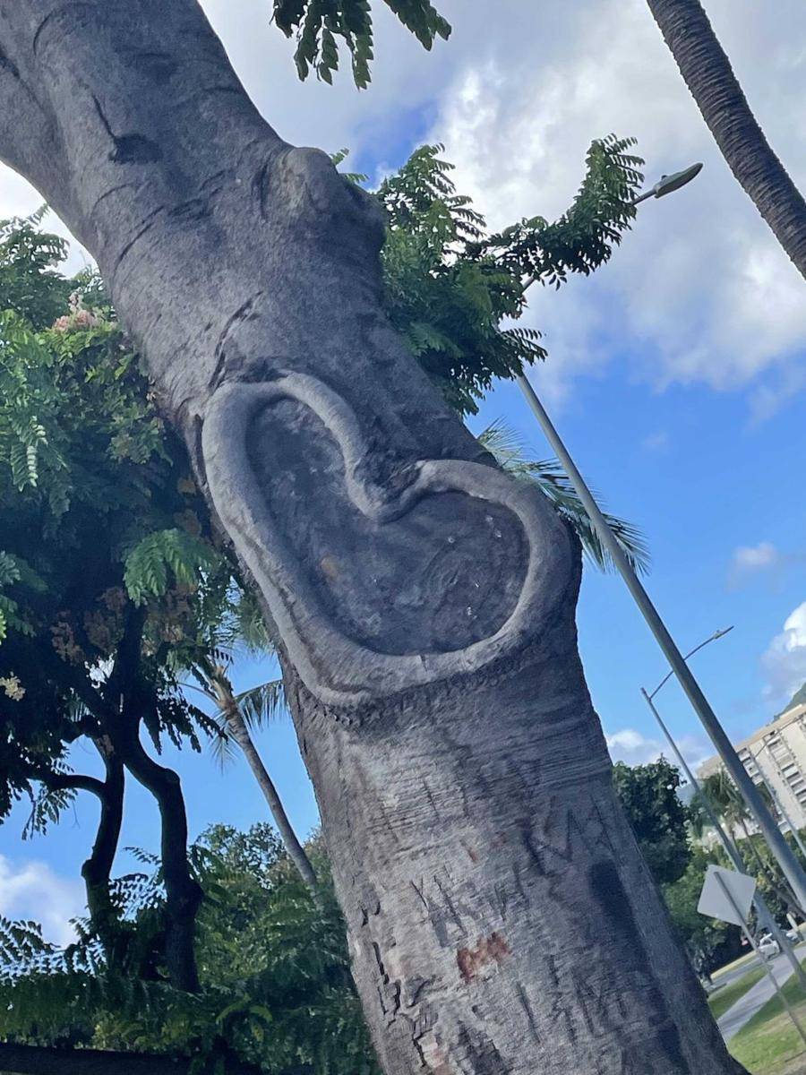 potret hal unik di Hawaii (reddit.com/user/Todokawa_Kaardo)