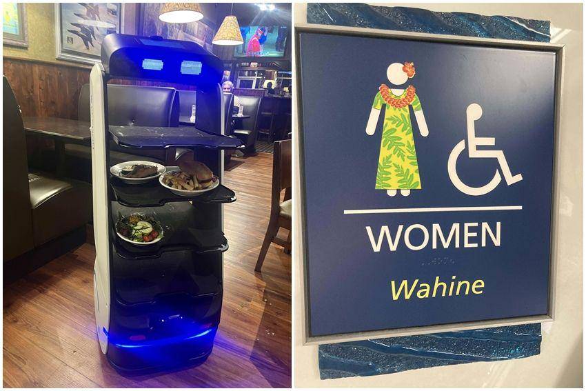 kolase potret hal unik di Hawaii (reddit.com/user/RefrigeratorFeisty91 | reddit.com/user/Psychological_Lie648)