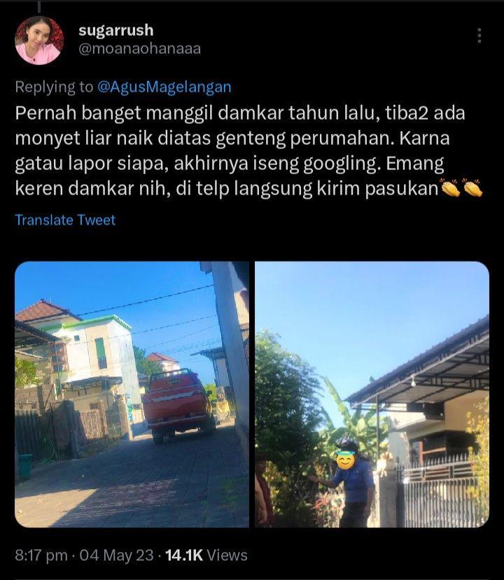 tugas damkar menurut warganet (twitter.com/ @moanaohanaaa)