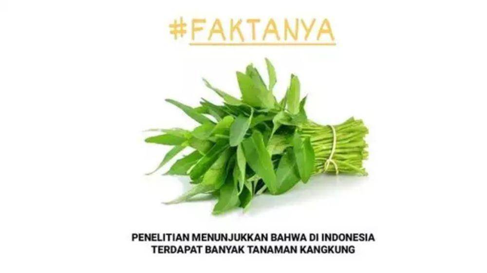 meme ilmu pengetahuan (instagram.com/sejiwatinja)