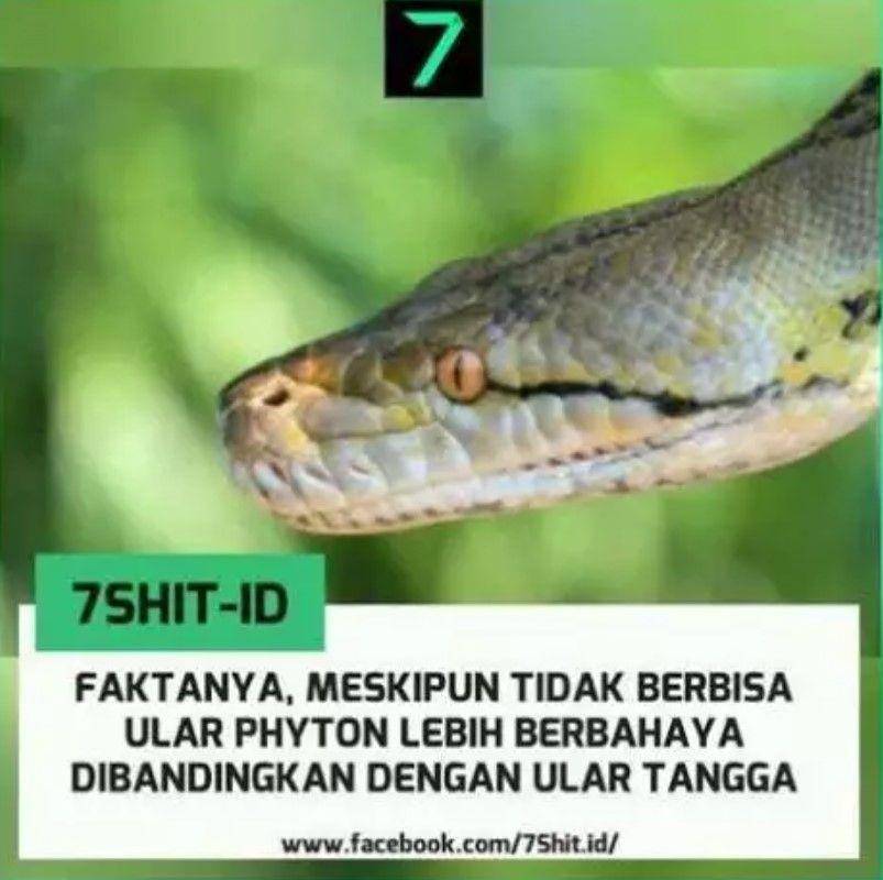 meme ilmu pengetahuan (facebook.com/7shit.id)
