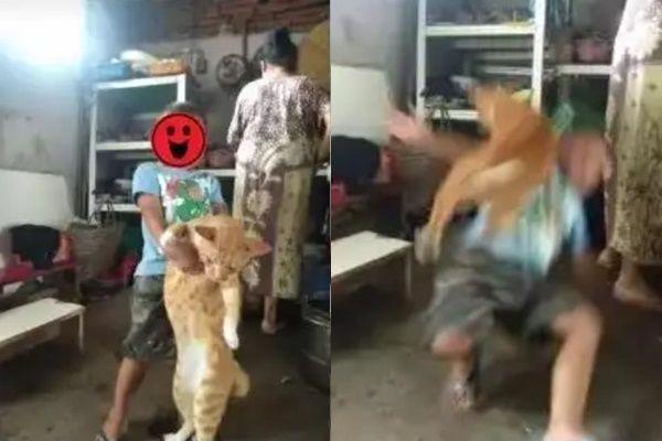 10 Status WhatsApp Ini Ending-nya Apes Banget, Lihat Sampai Akhir!