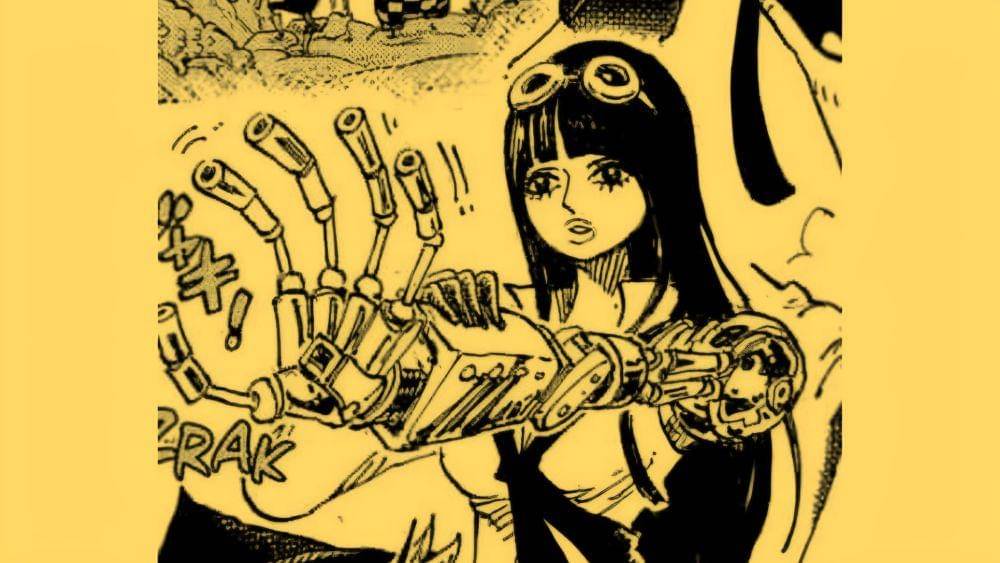 Wakil Komandan Pasukan Revolusioner One Piece. (Dok. Shueisha/One Piece)