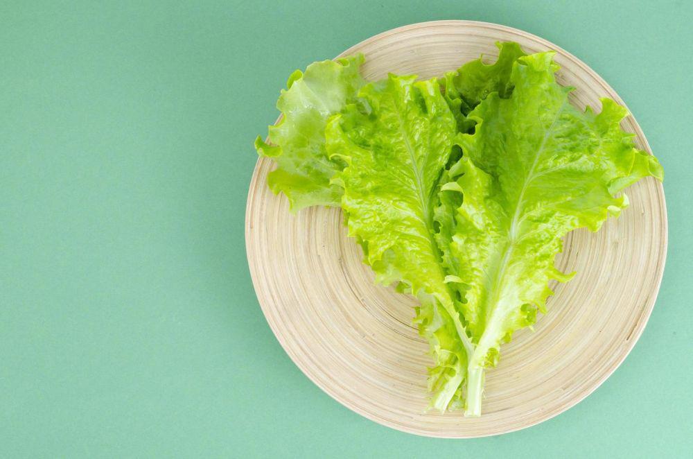 5 Cara Menyimpan Selada agar Awet dan Segar