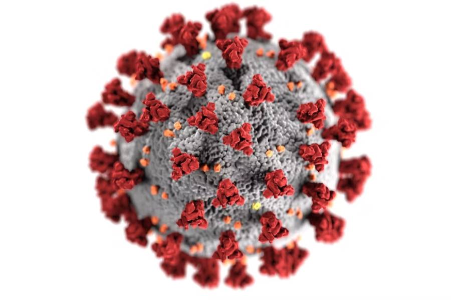 ilustrasi virus Covid-19 (unsplash.com/CDC)