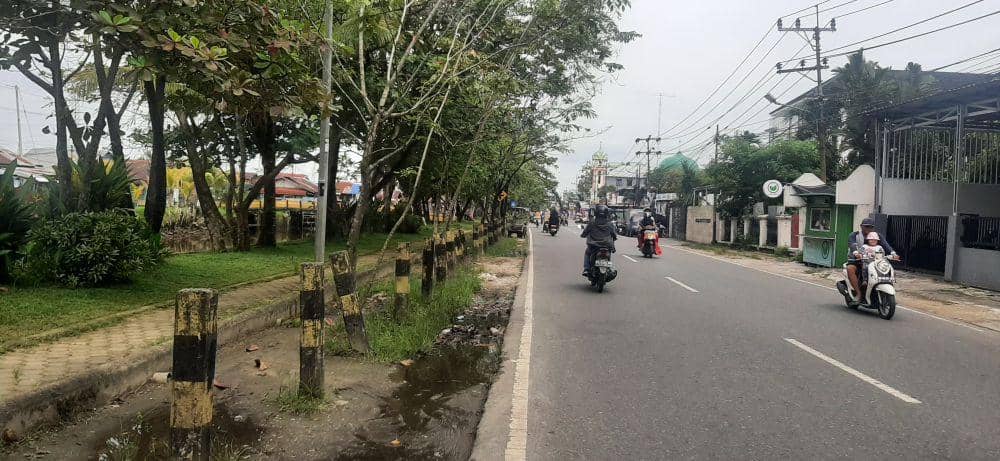 Pohon-pohon yang tertata rapi di siring sungai di Banjarmasin