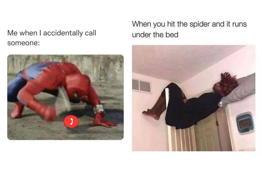 9 Meme Heboh Sendiri, Momen-Momen yang Susah buat Tenang