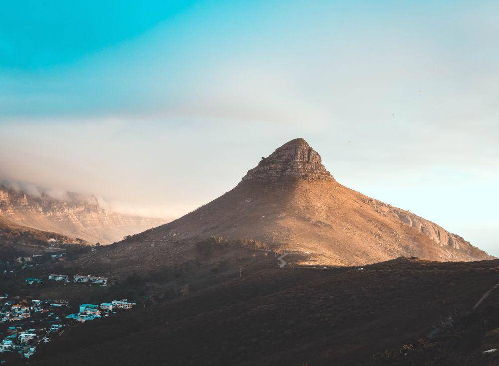 Lion's Head (unsplash.com/Leo Moko)