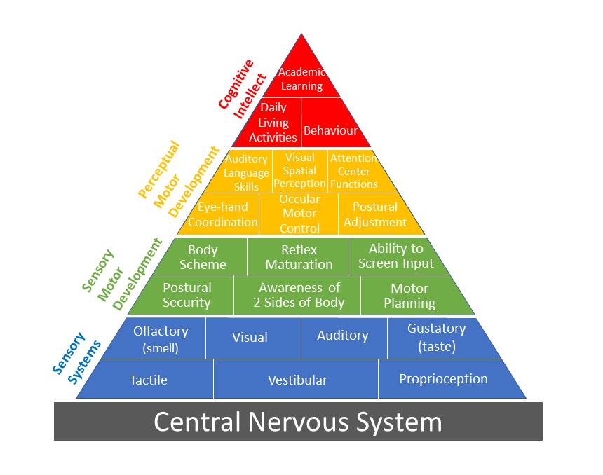 Pyramid of learning. (northshoreot.com)