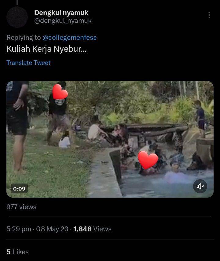 momen berkesan saat kkn (twitter.com/ @dengkul_nyamuk)