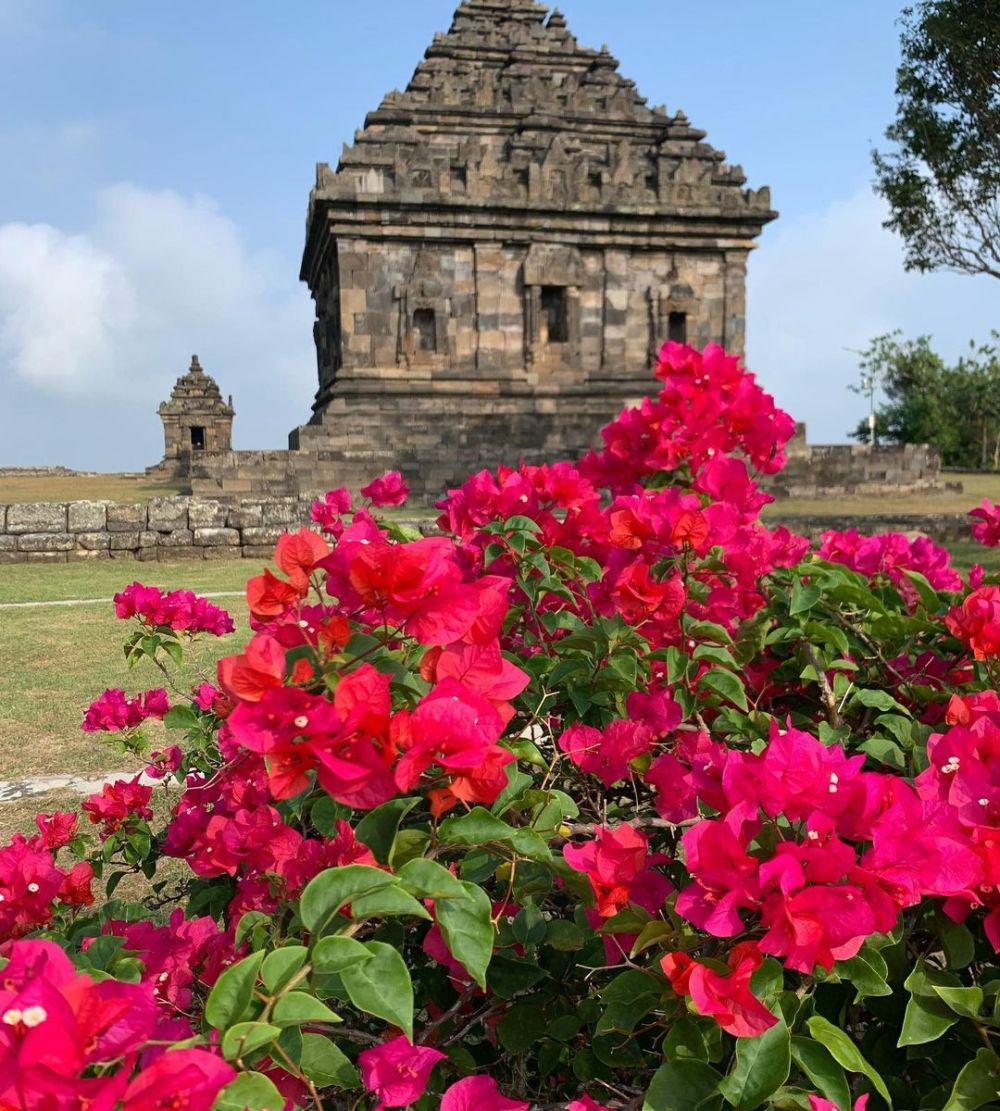 Ilustrasi HTM Candi Ijo (instagram.com/travelwithdavinia)