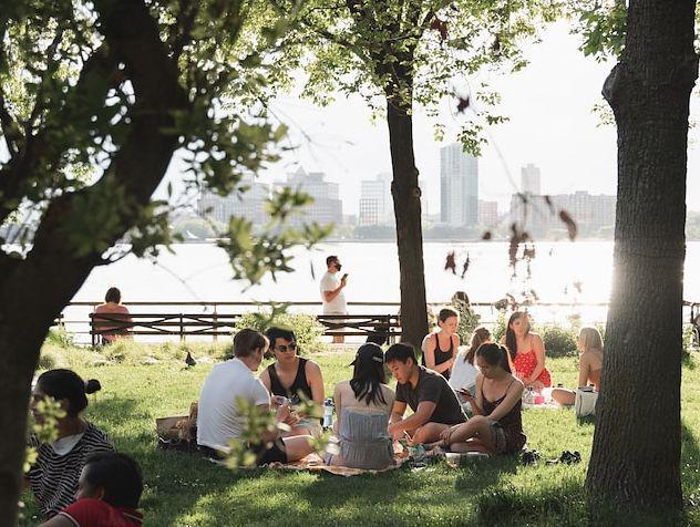 ilustrasi piknik di taman (unsplash.com/Mason Dahl)