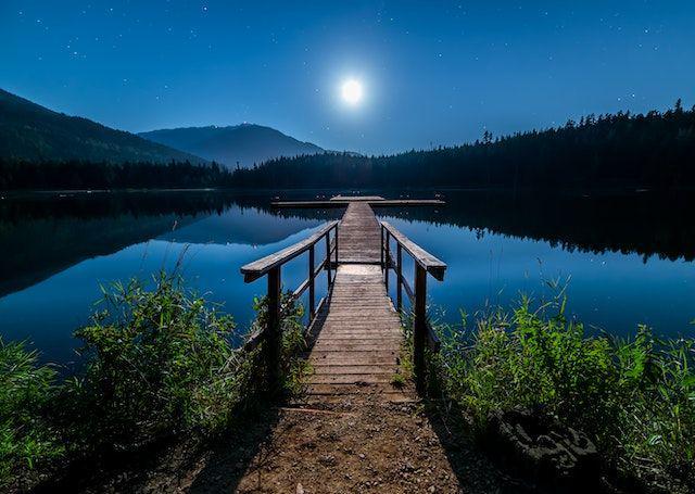 Ilustrasi tepi sungai (pexels/James Wheeler)