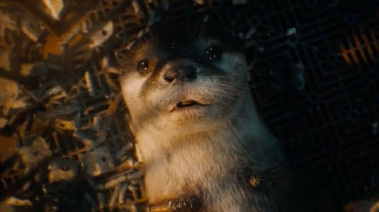 9 Adegan Paling Bikin Nangis di Guardians of the Galaxy Vol. 3