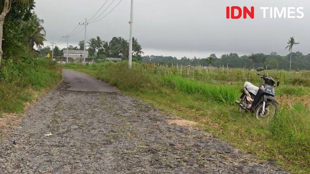 Aspal spasi di Dusun Selorejo, Desa Kaligondo, Kecamatan Genteng, Banyuwangi. (FOTO: IDN Times/ Agung Sedana)