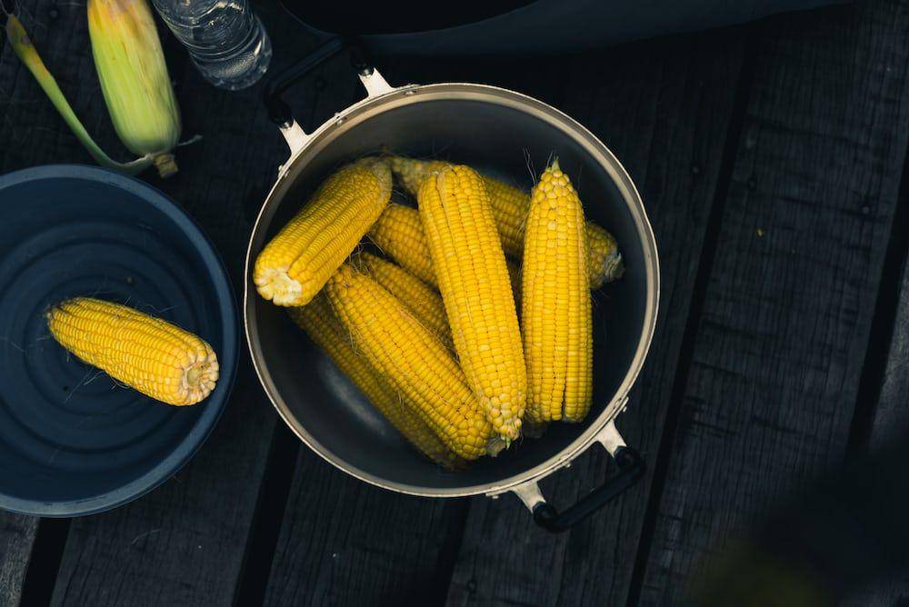 ilustrasi jagung (unsplash.com/@hafizyahya)