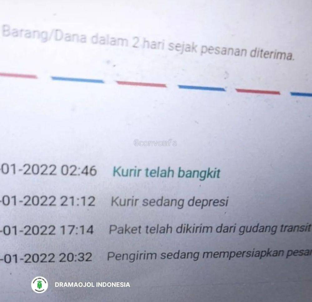 unggahan kurir dalam riwayat pesanan belanja online (instagram.com/dramaojol.id)