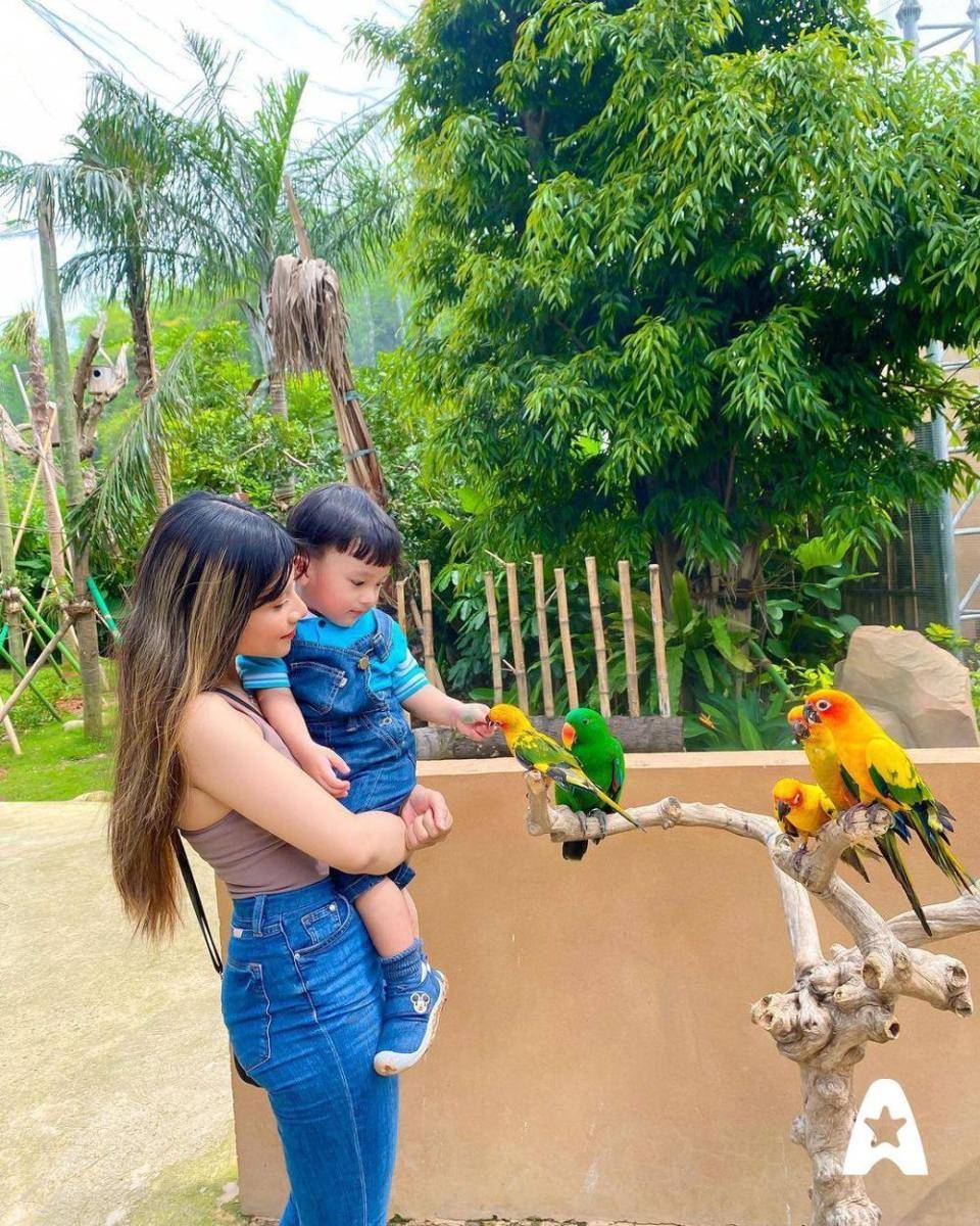 Jakarta Birdland (instagram.com/jakartabirdland)