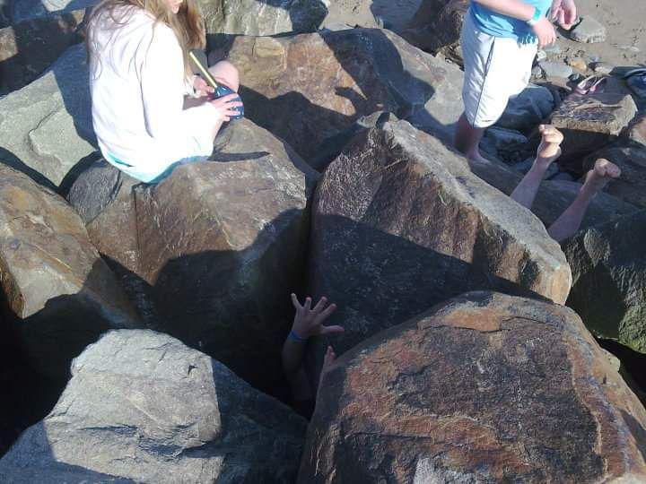 potret momen apes di pantai (reddit.com/user/deliriz)