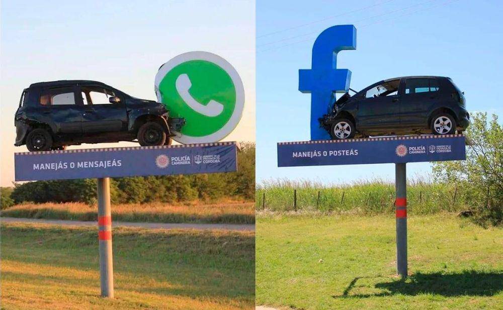potret momen unik di Argentina (reddit.com/user/Elgordogei)