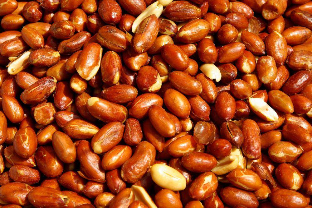 ilustrasi kacang goreng (pixabay.com/jackmac34)