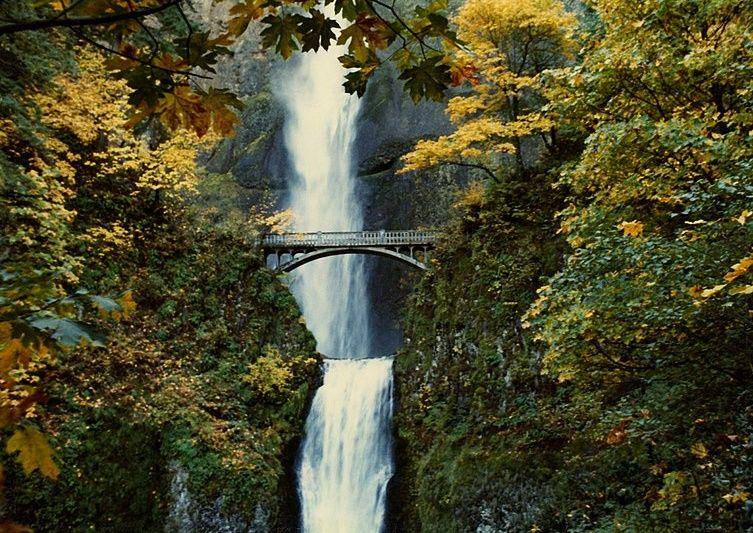 Air terjun Multnomah (commons.wikimedia.org/Anoldent)