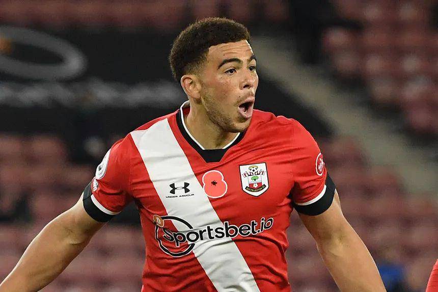 Che Adams (premierleague.com)