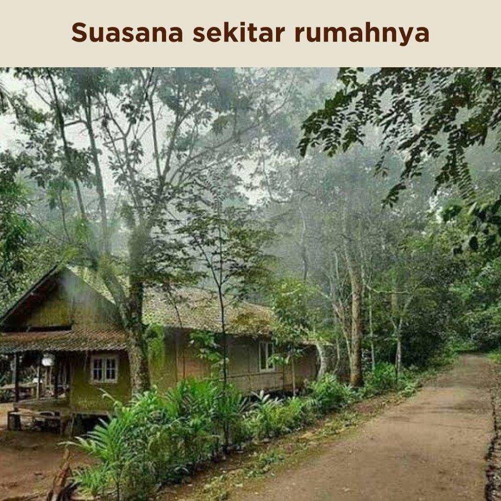 ilustrasi kampung halaman (instagram.com/dagelan)