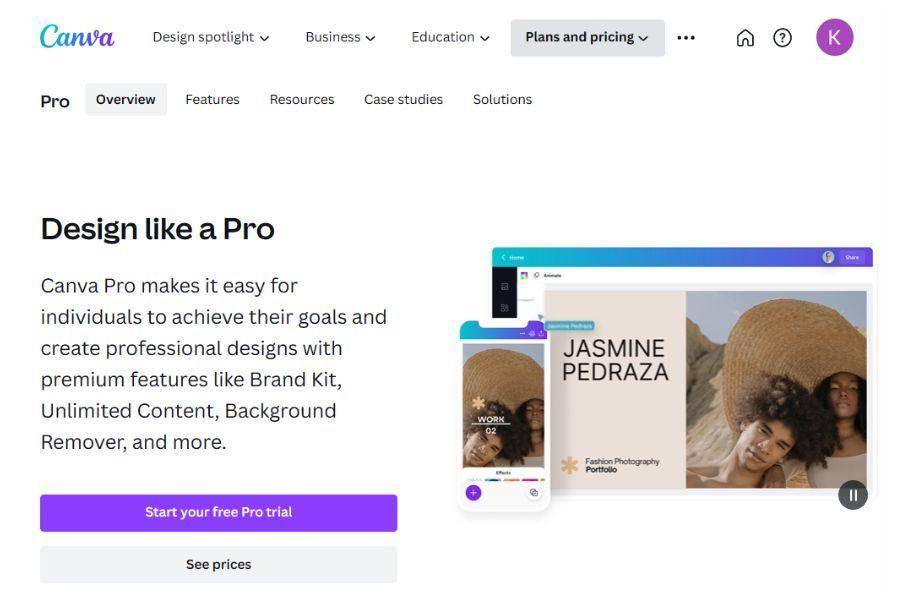 ilustrasi Canva Pro (dok.canva.com)