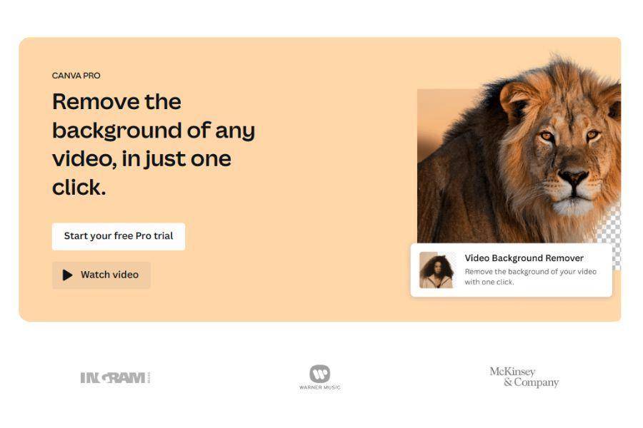 ilustrasi fitur Video Background Remover Canva Pro (dok.canva.com)