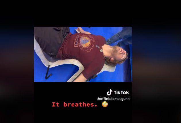Tiktok/@officialjamesgunn