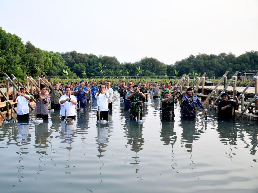 Jokowi Bareng Prabowo Nyemplung ke Air Tanam Mangrove di Jakarta Utara