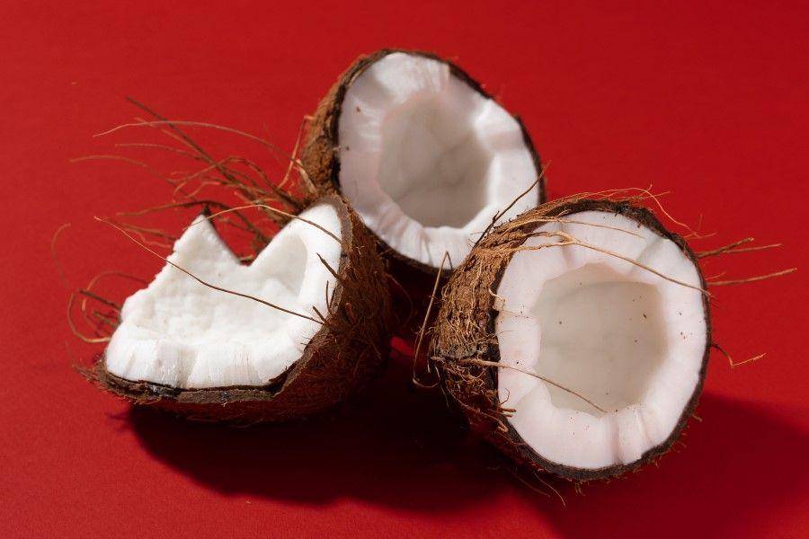 ilustrasi daging buah kelapa (pexels.com/Mikhail Nilov)