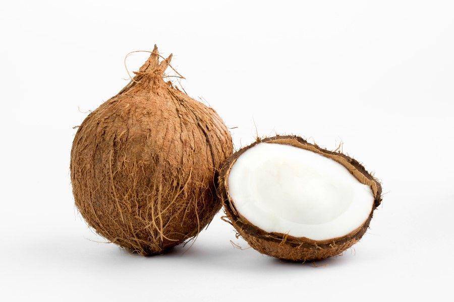 ilustrasi buah kelapa (freepik.com/Mdjaff)