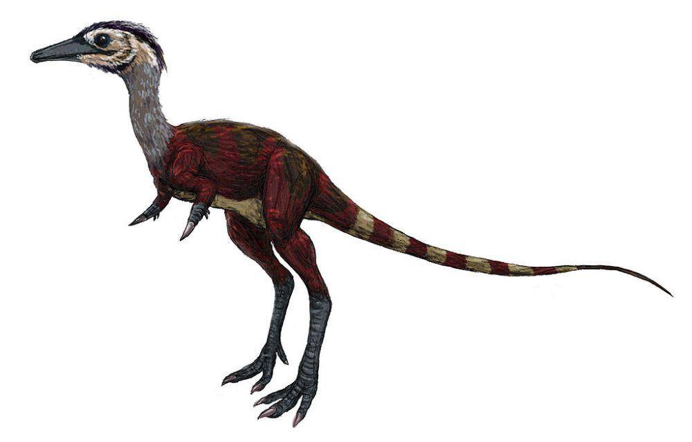 ilustrasi Shuvuuia (Wikimedia Commons/Michael B. H.)