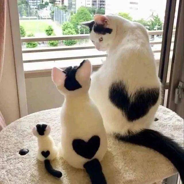 ilustrasi love sign di kucing (instagram.com/cutecats_e)