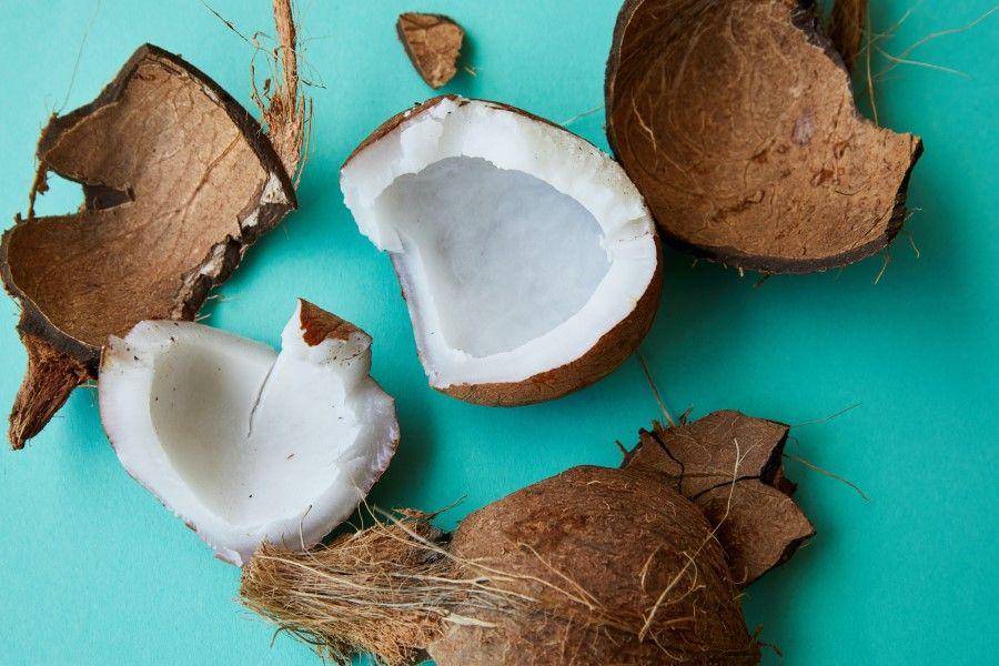 ilustrasi tempurung kelapa (pexels.com/Laker)