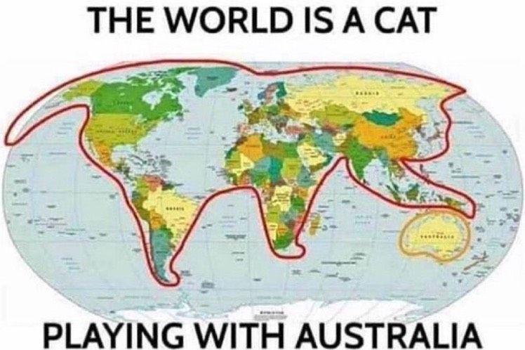 meme peta dunia (twitter.com/gucci_dacat)