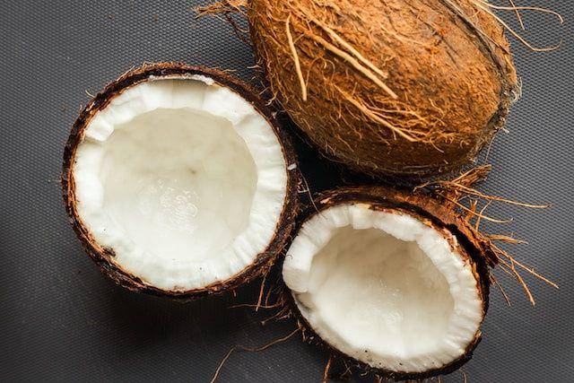 gambar kelapa yang sudah tua (unsplash.com/Louis Hansel)