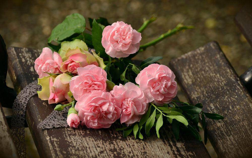 Mawar pink (pixabay.com/congerdesign)