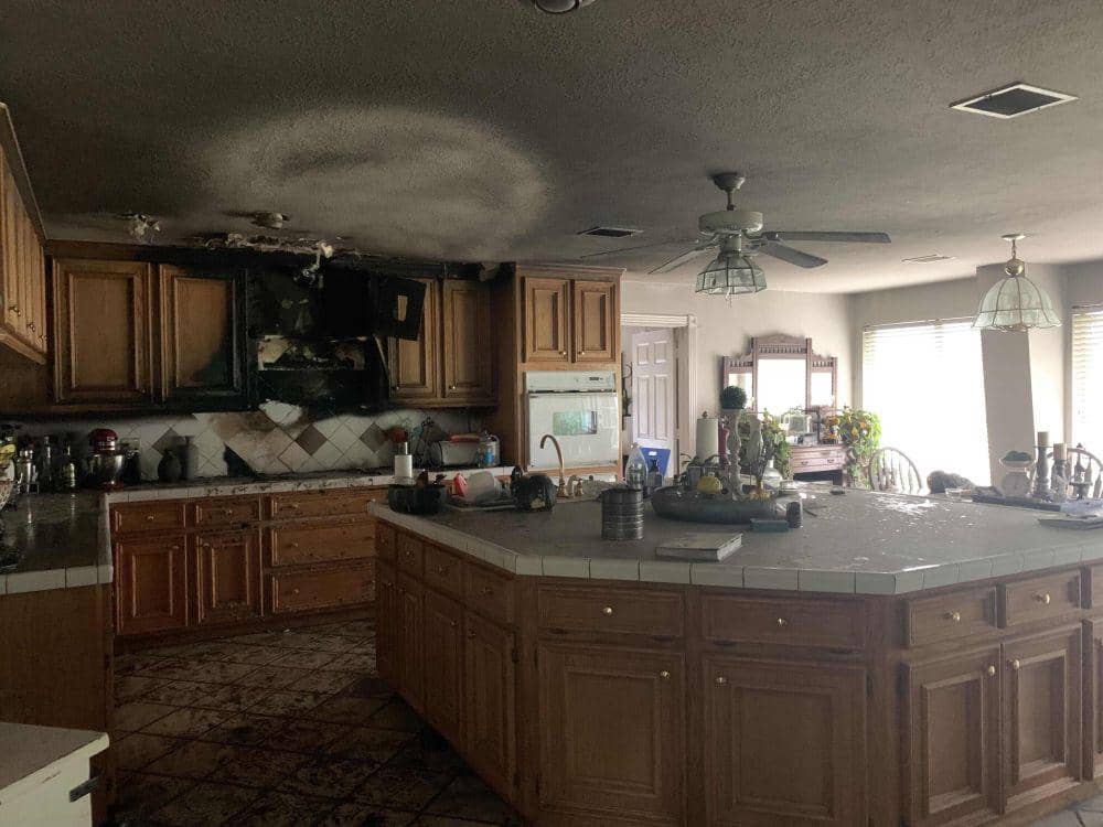 potret momen apes pakai microwave (reddit.com/user/sprinkydinks73)