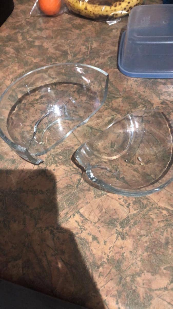 potret momen apes pakai microwave (reddit.com/user/MushuTheGreat17)